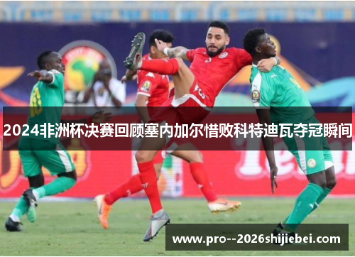 2024非洲杯决赛回顾塞内加尔惜败科特迪瓦夺冠瞬间 2024非洲杯决赛回顾塞内加尔惜败科特迪瓦夺冠瞬间