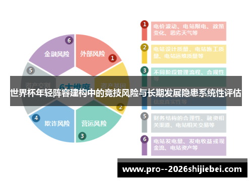 世界杯年轻阵容建构中的竞技风险与长期发展隐患系统性评估 世界杯年轻阵容建构中的竞技风险与长期发展隐患系统性评估