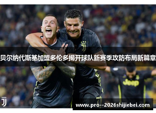 贝尔纳代斯基加盟多伦多揭开球队新赛季攻防布局新篇章 贝尔纳代斯基加盟多伦多揭开球队新赛季攻防布局新篇章